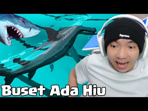 Buset Ada Ikan Hiu Di Kolam - Sharks And Minnows Indonesia