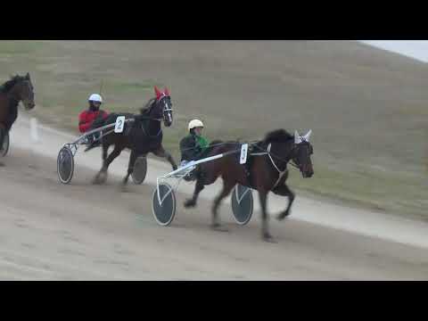 2018.02.10. 1. futam - BONVIVÁN HENDIKEP