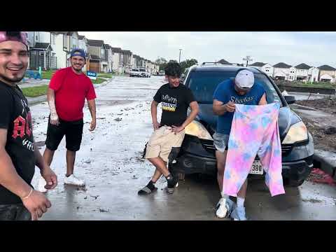 The guanaco couldn't be saved 😂😂😂