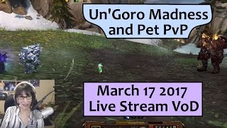 Un'Goro Madness and Pet PvP - Mar 17 Live Stream VoD