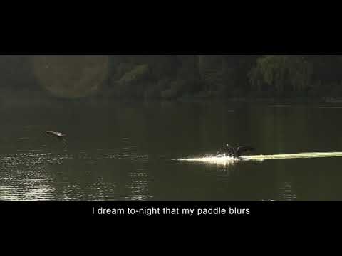 亡灵岛 (Deadman's Island) by Andy H. Gao