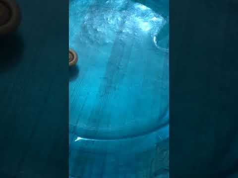 Hell salamander vs spriggan