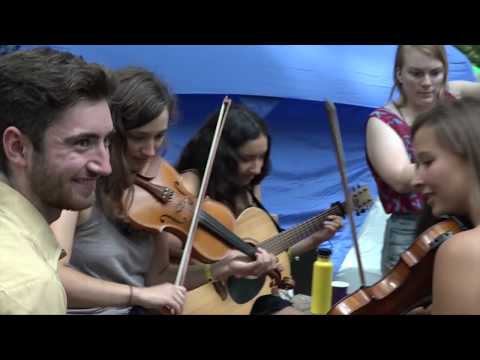 Clifftop 2017 "Random Sights and Sounds"