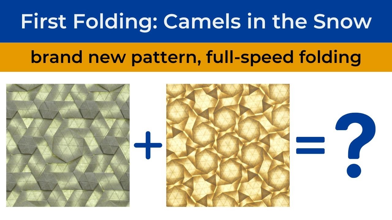 Camels in the Snow: first folding of a new design