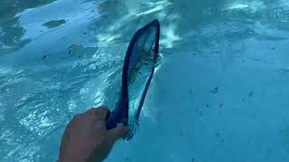 I need a SKIMMER BAD