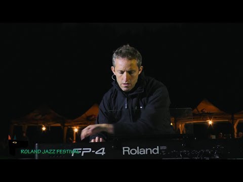 ROLAND JAZZ FESTIVAL 2017 PAUL TAYLOR LUNCA ILVEI