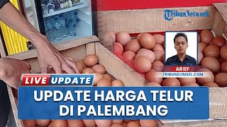 Telur Ayam di Palembang Sumatera Selatan Masih Stabil, Rp 26 Ribu Per Kilogram sejak Idul Adha 2025