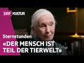 Jane Goodall Was Unterscheidet Uns Vom Schimpansen Sternstunde Philosophie SRF Kultur