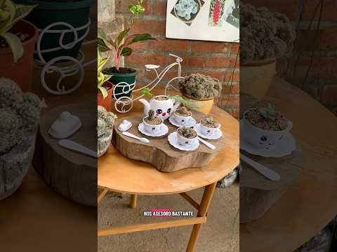 Don viverito en Sonsonate,sonzacate #viralvideo #vivero #viralvideo #recomendaciones #youtubeshorts