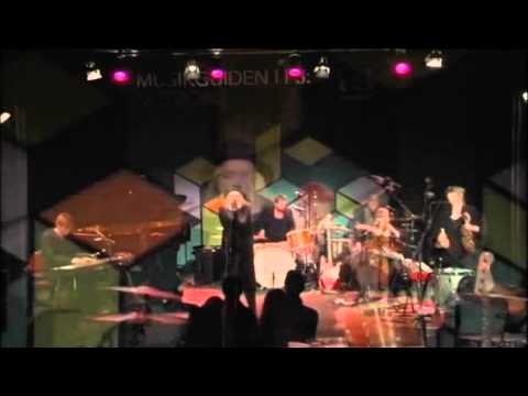 Ane Brun - This Voice (Musikguiden i P3 Session, 5)