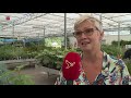 Tuincentrum GroenRijk sluit na 28 jaar de deuren