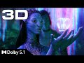 4K 3D The Ceremony Avatar Dolby 5 1