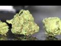 Nug Porn HD