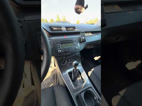 фото volkswagen passat b6 0