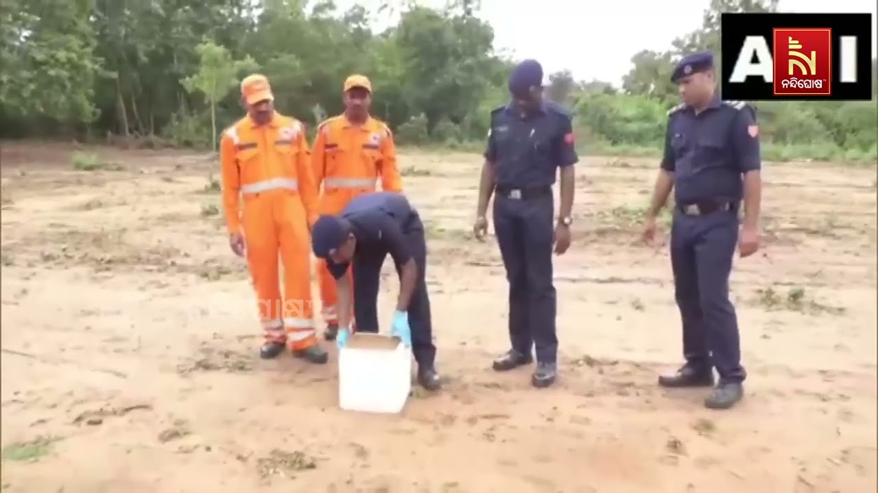 NDRF Trains Sniffer Dogs to Detect Buried Bodies During Natural Disasters | ସ୍ନିଫର ଡଗଙ୍କୁ ଟ୍ରେନିଂ