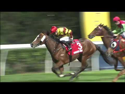 1/12/2021 (223) Family Folks - A Hamelin