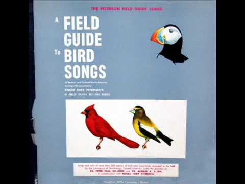 R. Tory Peterson: Audio Field Guide to Bird Songs of Eastern, Central N. America - 1961 (5 of 6)