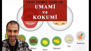 YENİ TEMEL TATLAR : UMAMİ VE KOKUMİ  [Ekşi, Acı, Tuzlu, Tatlı, Umami ve Kokumi]