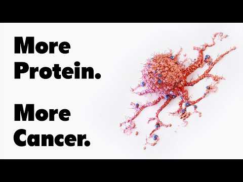 Why High Protein Diets Could Be Dangerous | Dr. Valter Longo