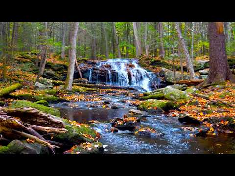 4k UHD Autumn Waterfall flowing Sound. Flowing Water, White Noise, Waterfall Sounds for Sleeping.
