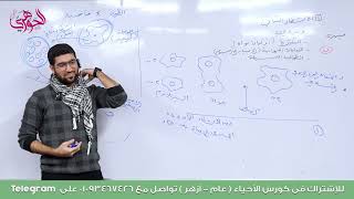 13 المحاضرة الأولى في التكاثر ٢ صور التكاثر اللاجنسي