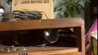 Video thumbnail for Leslie 720 Demo by John Noxon