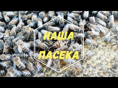 Осмотр и подкормка, грядут морозы