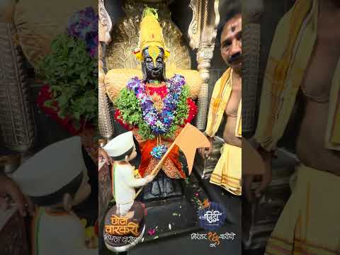 विठुरायाचे दर्शन घेत फेसबुक दिंडीतल्या अबाल वृद्ध वारकर्यांना दर्शन घडवण्याचा प्रयत्न