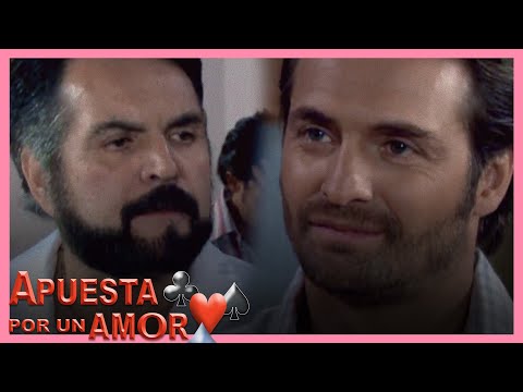 Bet on Love | Recap C 42 - Gabriel and Julio bet their respective estates!