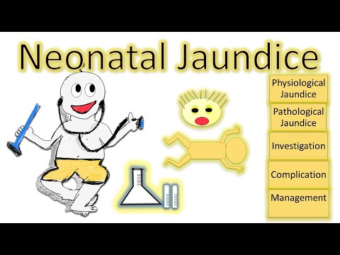 Neugeborenengelbsucht, NNJ, physiologische Gelbsucht, pathologische Gelbsucht, NEONATOLOGY SERIES...