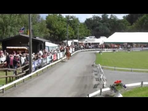 DIM 2011 - Frauke & Tígull V1 - www.isibless.de