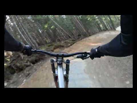 Whistler MTB Park 20/07/2024 - Blue Velvet (Lower Section)