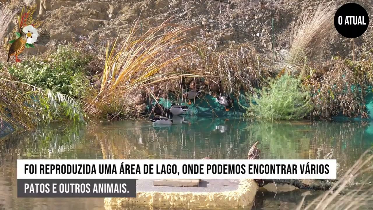 XIII Feira da Caça // Parque exterior renovado