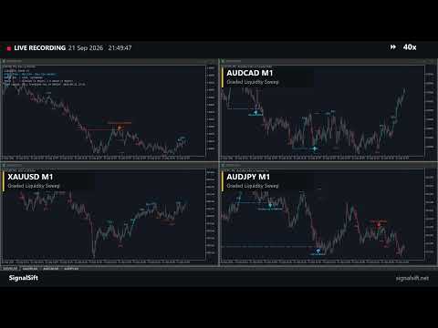Video Graded Liquidity Sweep