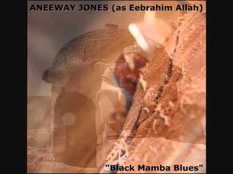 Aneeway Jones (as Eebrahim Allah) - black mamba blues - 2011