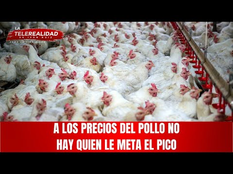 El Show del Mediodía ¡¡¡En VIVO!!! por ColorVisión 22 de Diciembre 2025.