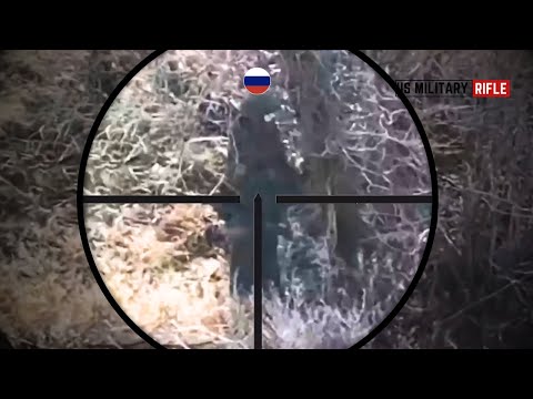Ukrainian Sniper Headshots Two Russian Troops at 800 Meters in an Ambush on the Frontline