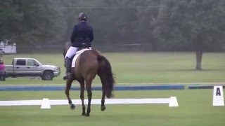 Buck Davidson & Summer Sleigh Ride PH Dressage