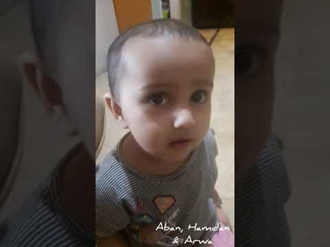 Hamdan & Arwa Feeding Cat. . .