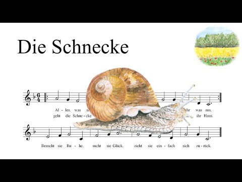 Tierlieder für Kinder - Die Schnecke