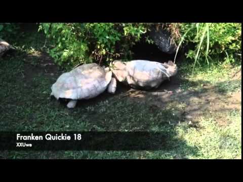 XXUwe - Franken Quickie 18