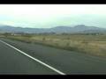 Giant Dog Crap On Road