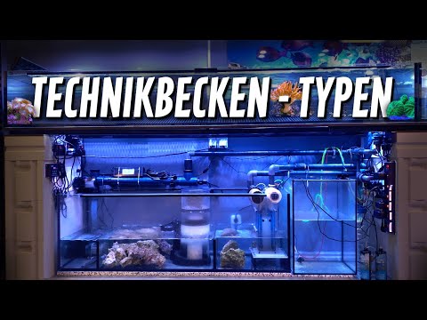 Which technical tank in the saltwater aquarium?? - PlanktonPlus Aquaristik