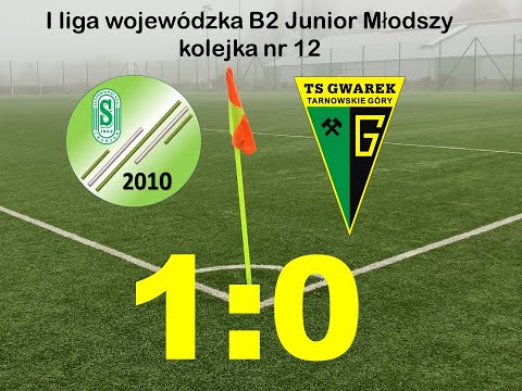 Stadion Śląski 2010 - Gwarek Tarnowskie Góry 2010 - 1 liga B2 - 1:0