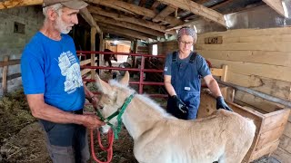 Something isn't right with Libby.... #828