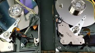Falco - Rock Me Amadeus on Stereo Hard Drive Speakers
