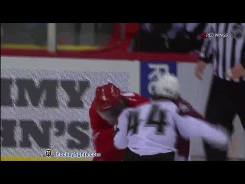 Ryan Wilson vs Justin Abdelkader Feb 25, 2012