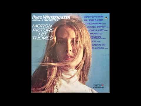 Hugo Winterhalter Orchestra – Motion Picture Hit Themes