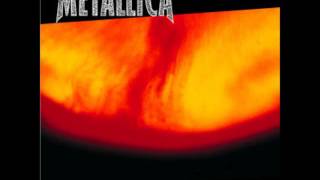 Metallica - Attitude