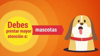 Ola de calor: ¿qué es, cuáles son sus efectos y cómo protegernos?